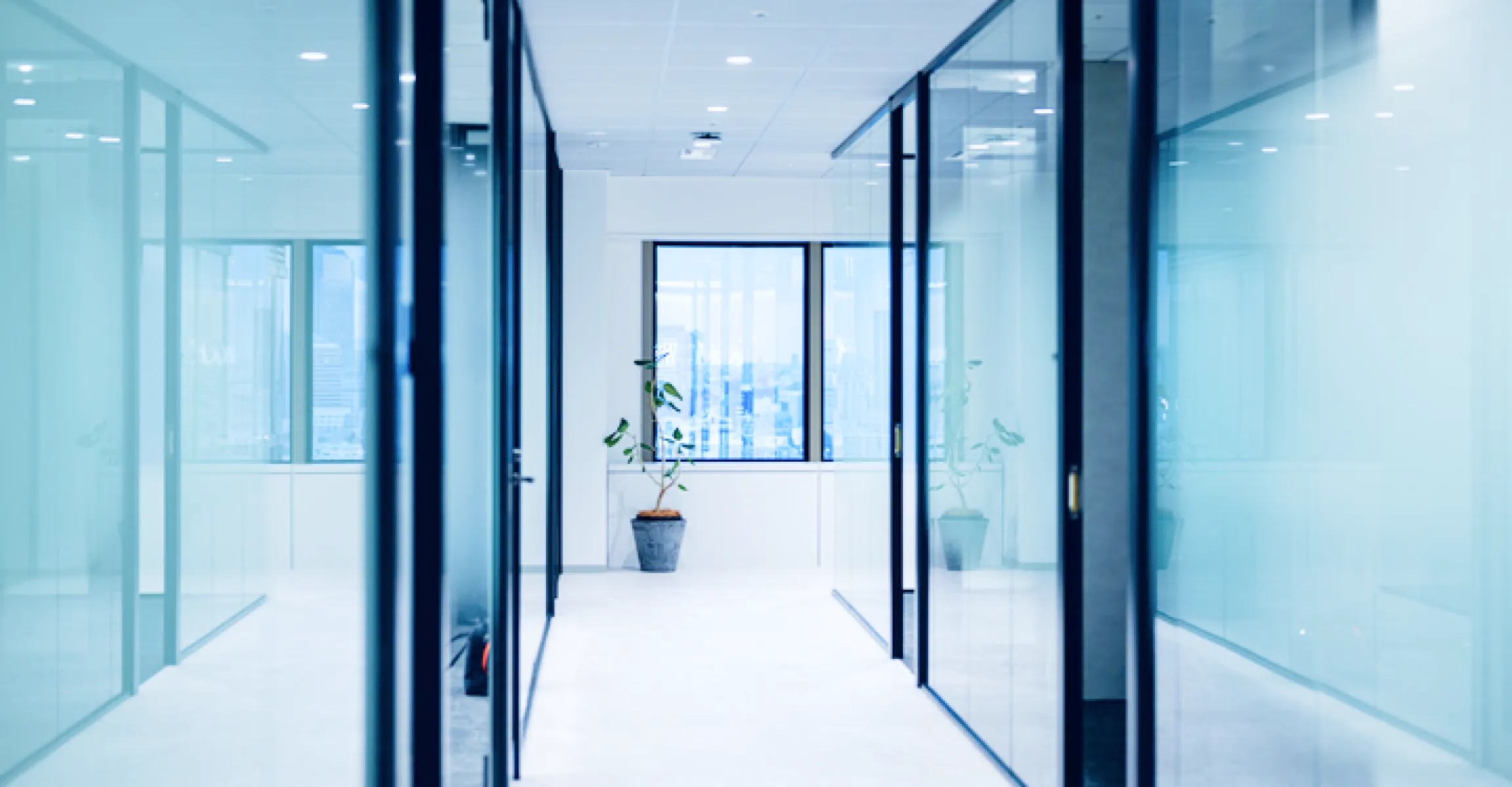 成長環境・キャリアパス