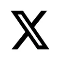 x icon